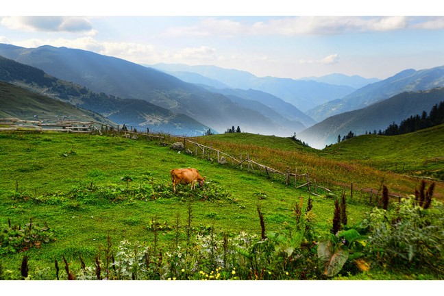 Karadeniz Turu